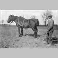 020-0101 Kapkeim, Gustav Zepik bei der Feldarbeit in Ostpreussen. Geb. 06.02.1912 gest. in Russl. 29.04.1943.jpg